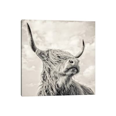 iCanvas "Magnificence I" by Mark Gemmell Canvas Print