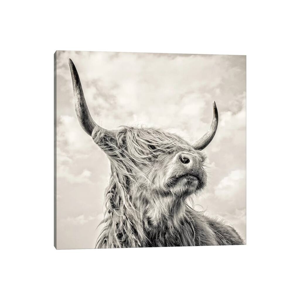 iCanvas "Magnificence I" by Mark Gemmell Canvas Print