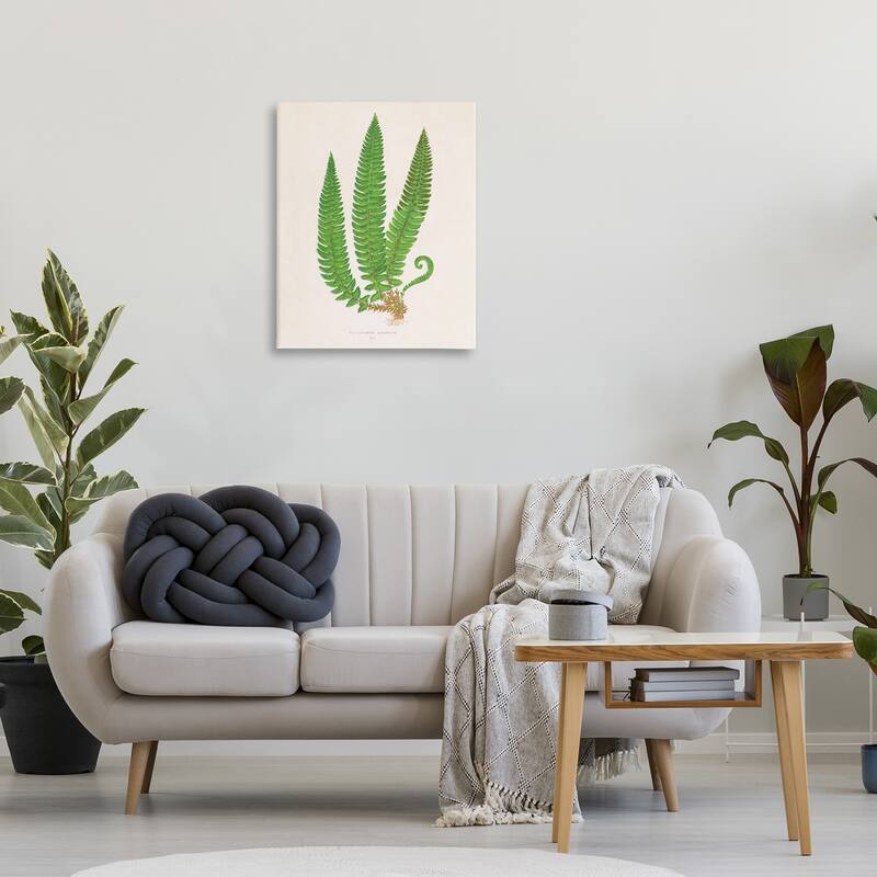 Stupell Natural Fern Branch Trio Canvas Wall Art Design By Phillipa Katz