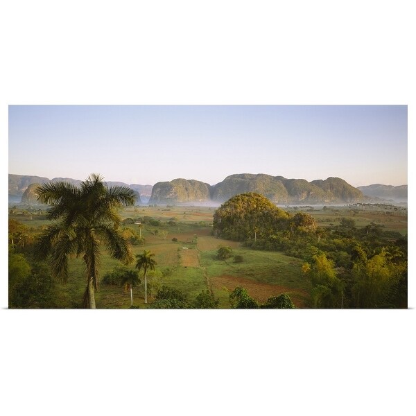 Shop Poster Print Entitled High Angle View Of Palm Trees On