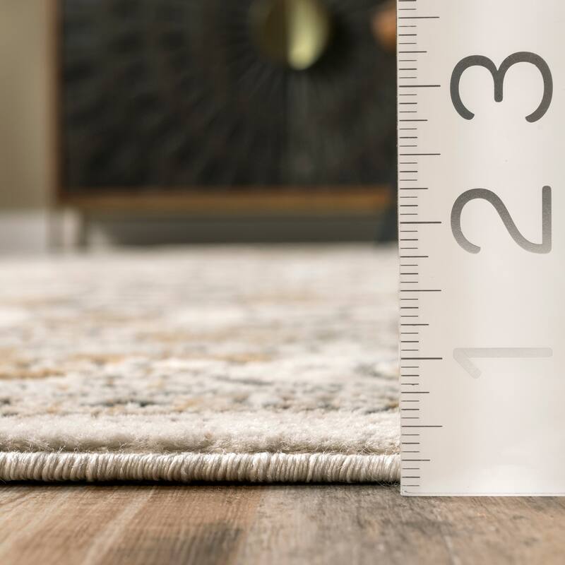 Nuloom Darcie Traditional Medallion Area Rug