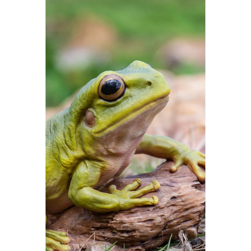 4.5" Tree Frog Outdoor Garden Statue