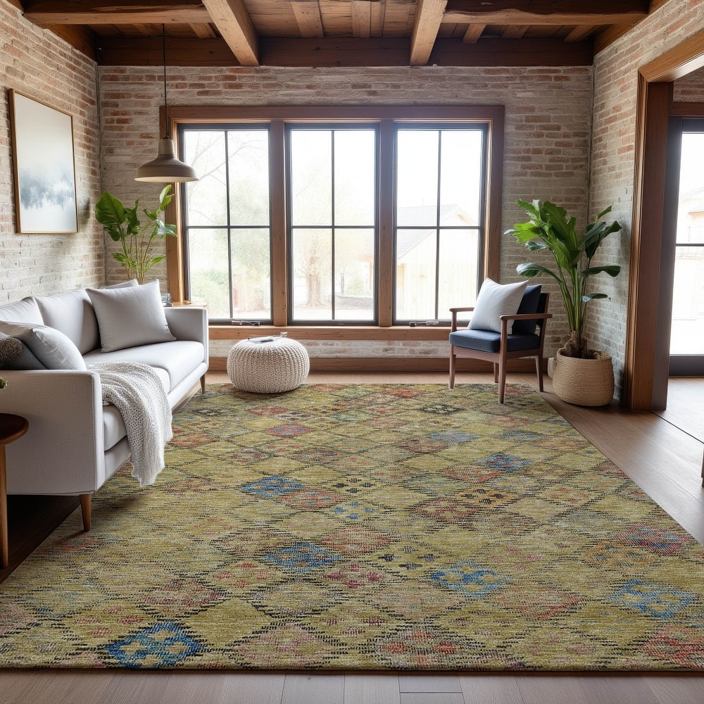 Premium Washable Super Soft Global Boho Mayfield Rug