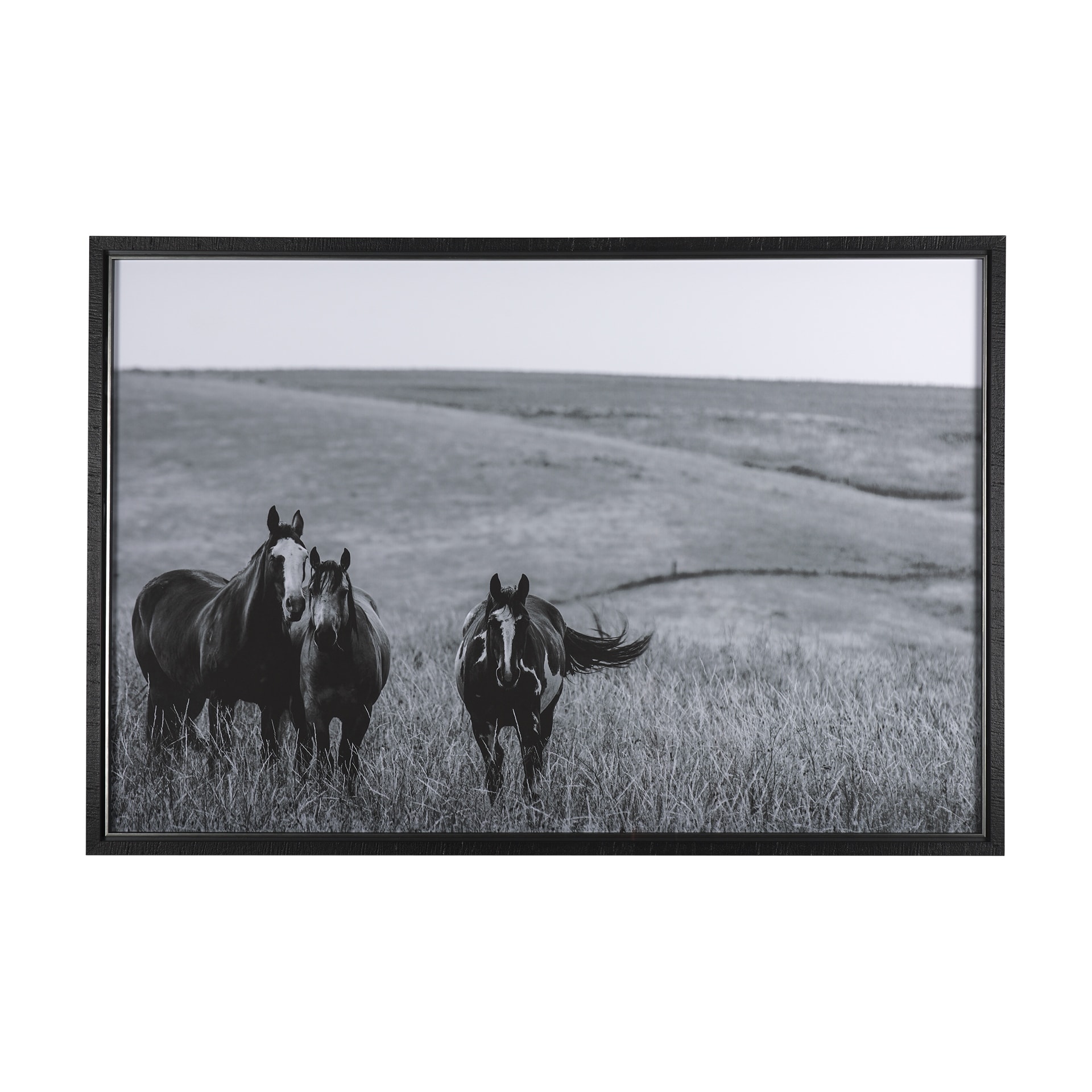 Montana Moves by Mercana Studio a Framed Photo Art Print Matted under Glass