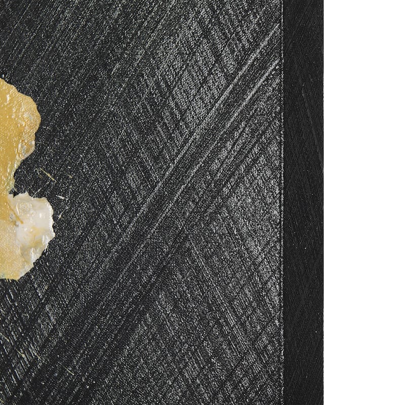 Cosmos II (32 x 40) Canvas Art Print