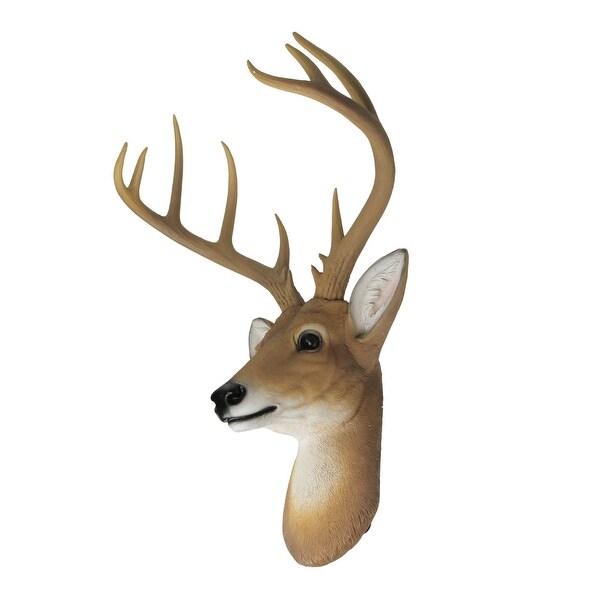 A deer / 鹿 maxresdefault.jpg
