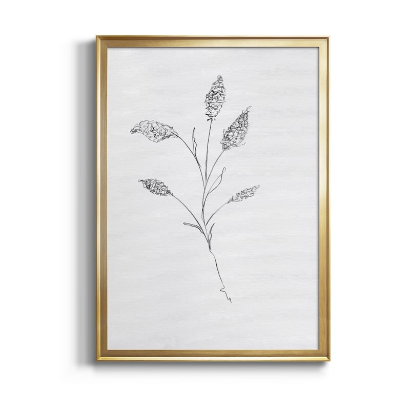FLORAL SKETCH II Premium Framed Canvas - Ready to Hang