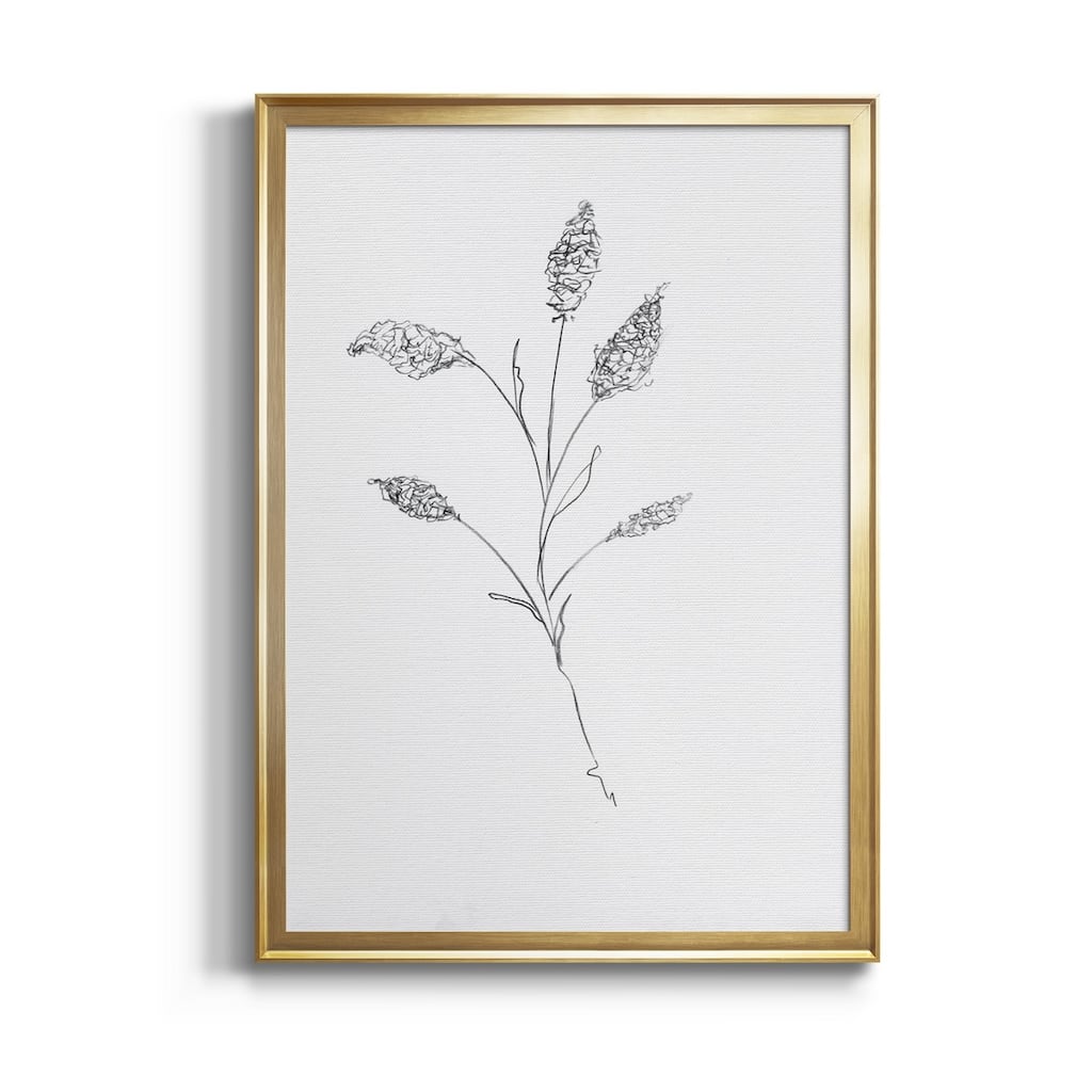 FLORAL SKETCH II Premium Framed Canvas - Ready to Hang