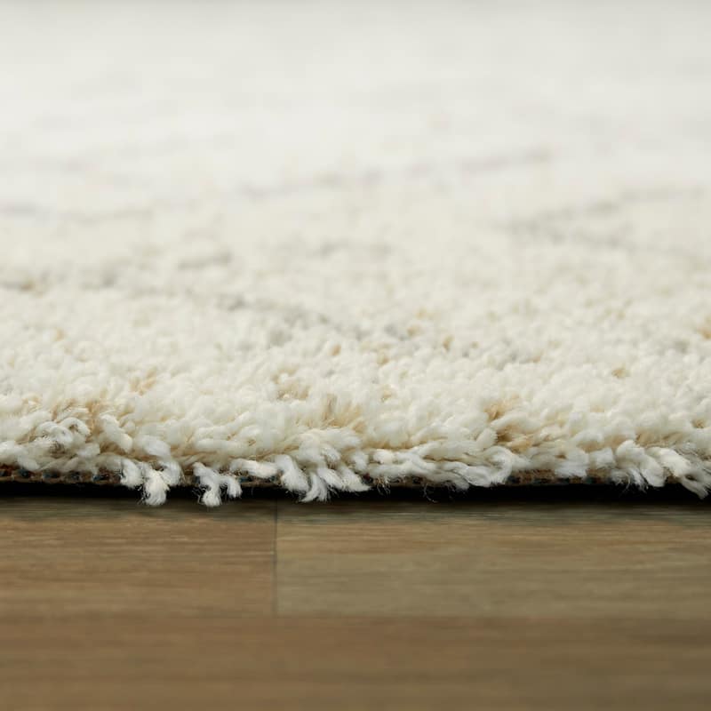 Albini Abstract Shag Area Rug