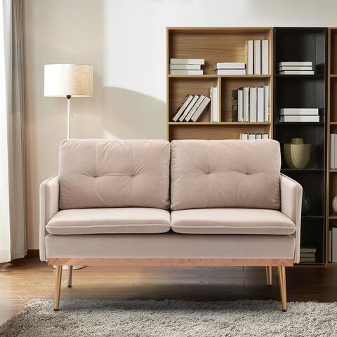 Accent Sofa Loveseat Sofa With Stainless Feet - N/A