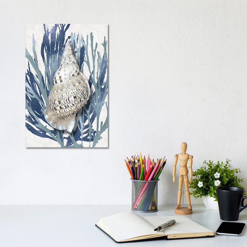 iCanvas "Shell Coral Aqua Blue I" by Caroline Kelly Canvas Print - 12x8x0.75