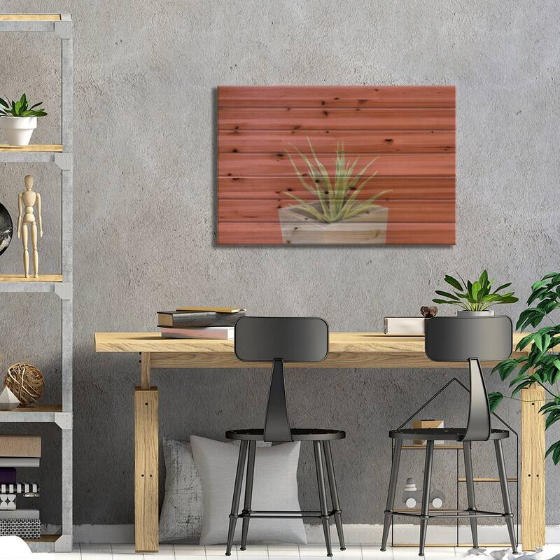 Aloe Vera In A Pot Print On Wood by Anita's & Bella's Art - Multi-Color