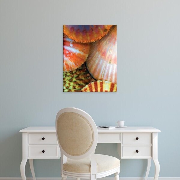 Easy Art Prints Lola Henry's 'Shell Extraction III' Premium Canvas Art