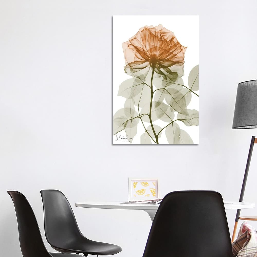 iCanvas "Urban Jungle Rose I" by Albert Koetsier Canvas Print