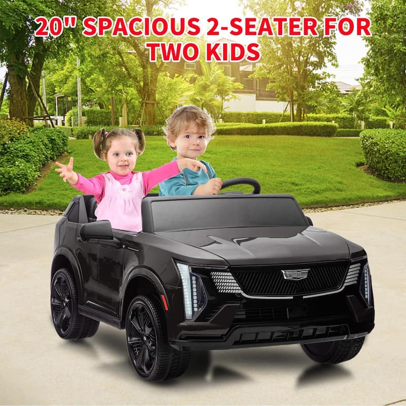 2 Seater Ride on Car for Kids 24V Electric Car Toy