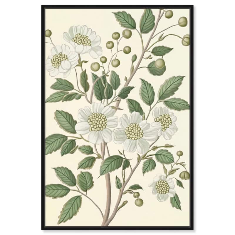 White Cherokee IV Canvas by Art Remedy - 36" x 54" - Black