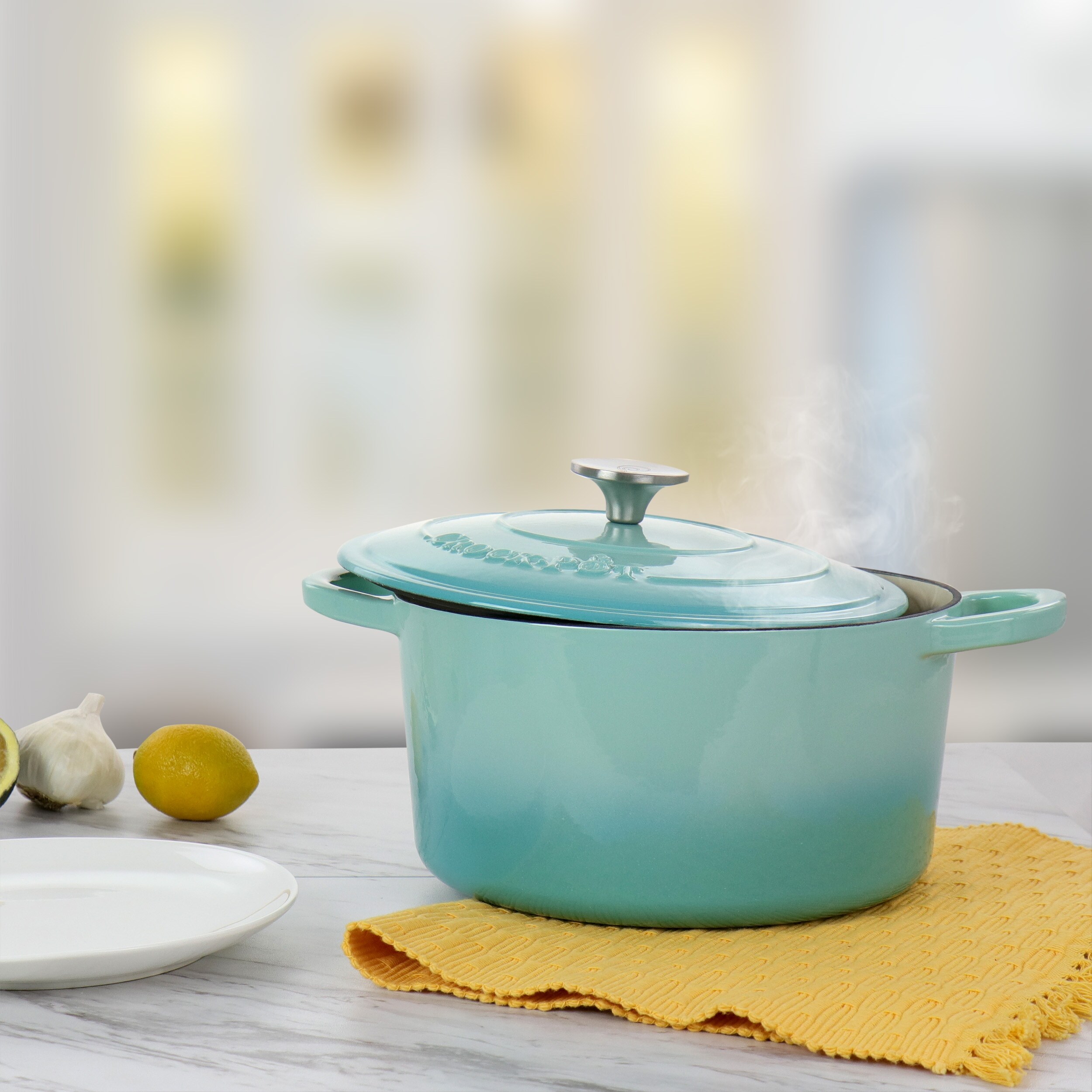https://ak1.ostkcdn.com/images/products/is/images/direct/cab1eccc9947b6fb1150a46047386b68f338e620/5-Quarts-Enameled-Cast-Iron-Dutch-Oven-in-Light-Teal.jpg