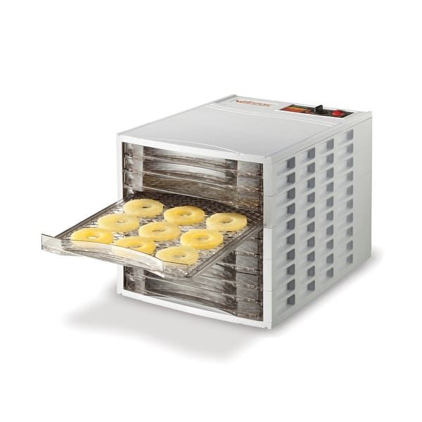 Food Dehydrator (50 Recipes) for Jerky, Vegetables, Fruits, Meats, Dog  Food, Herbs and Yogurt, Dryer with Temperature Control, 6 Stainless Steel  Trays, Rear-mounted Fan, Silver 