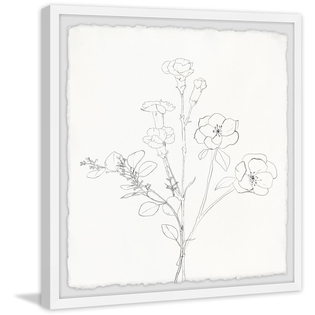 'Flower Sketch' Framed Painting Print