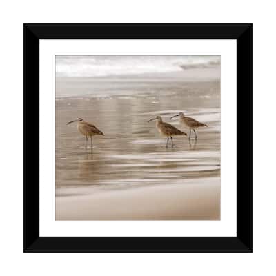 iCanvas "Shore Birds I" by Danita Delimont