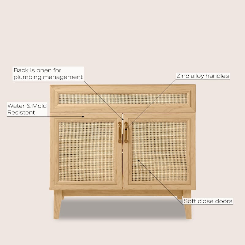 Ancillary Rattan Modern Farmhouse 2-Shelf Bath Vanity Cabinet Only (Sink Basin not Included), by JONATHAN Y