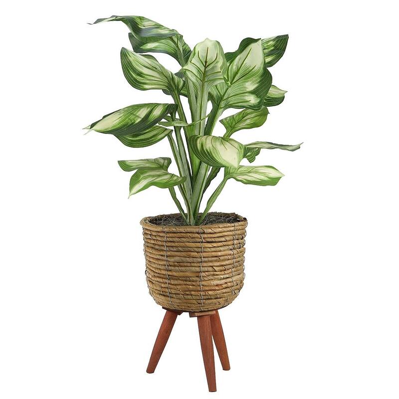 28-inch Artificial Hosta in Brown Basket Stand