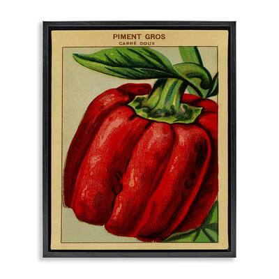 Stupell Country Vintage Pepper Framed Floater Canvas Wall Art Design By Lil' Rue