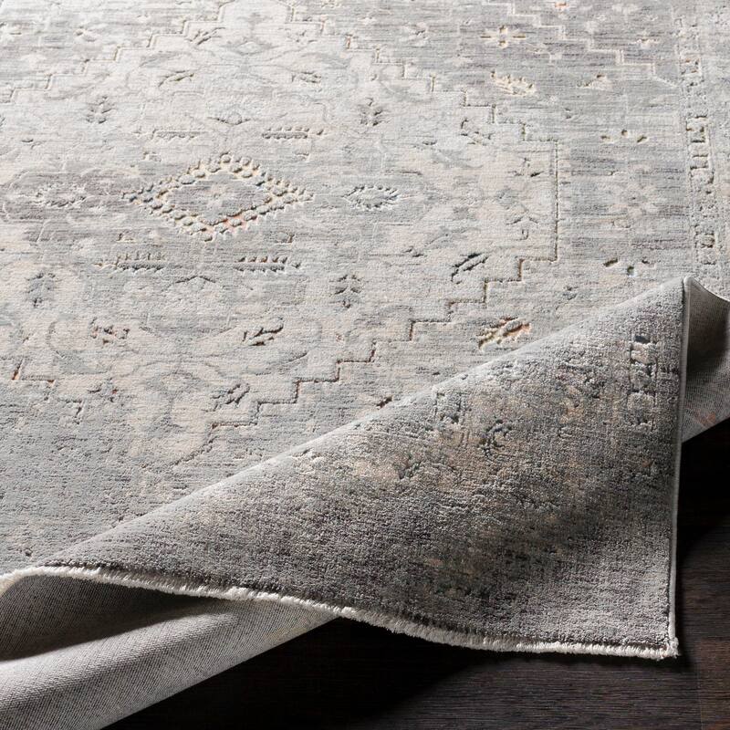 Artistic Weavers Jamison Distressed Traditional Area Rug