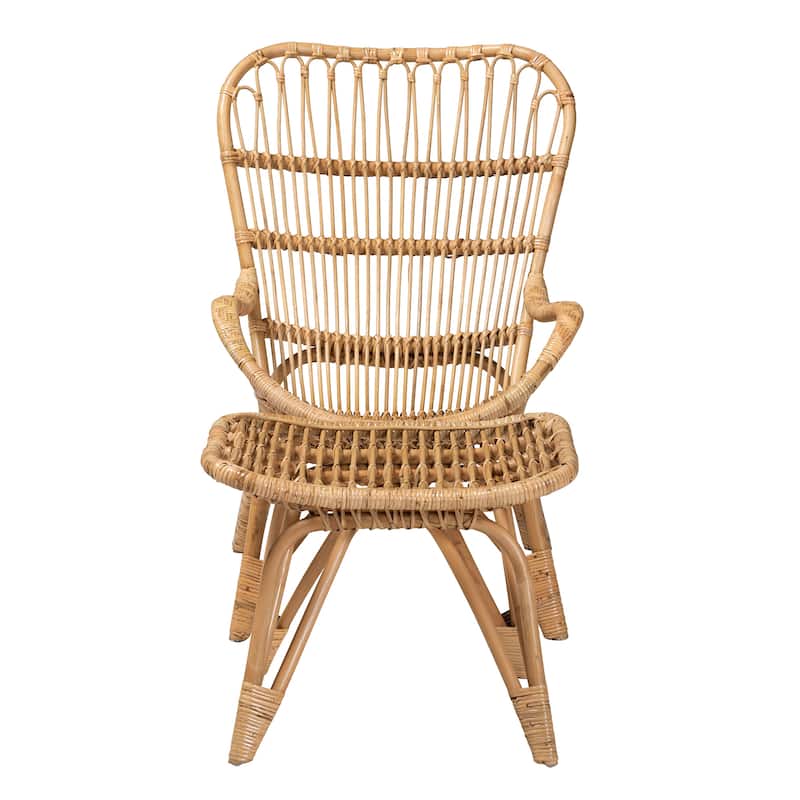 Earvin Modern Bohemian Natural Brown Rattan 2-Piece Armchair and Footstool Set