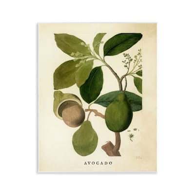 Stupell Vintage Avocado Plant Wall Plaque Art Design By Lil' Rue