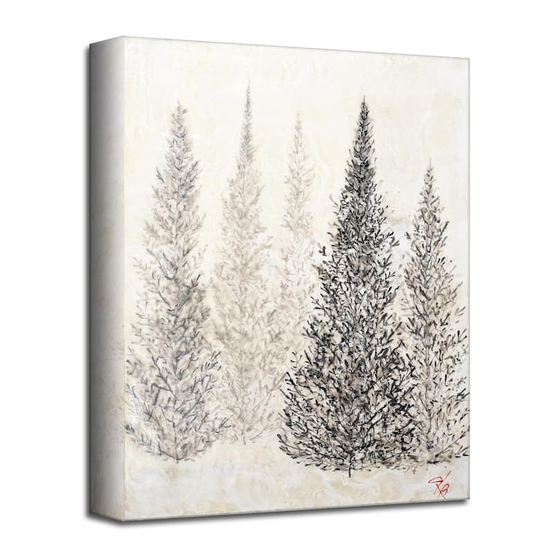 'Monoscape II' Canvas Wall Art by Karen Biery