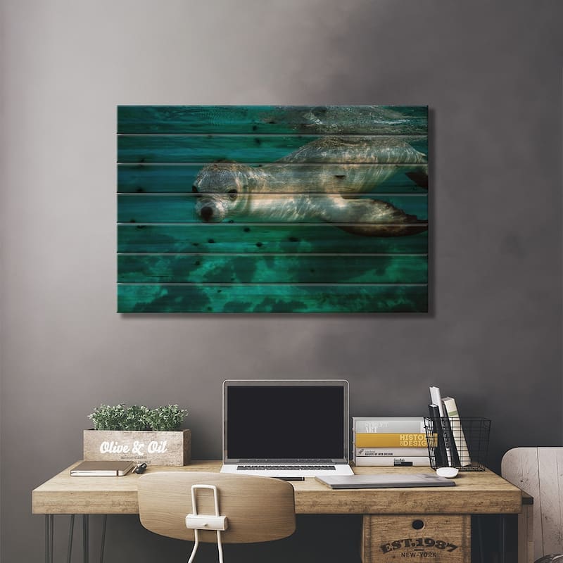 Australian Sea Lion Underwater Portrait, South Australia Print On Wood by Hiroya Minakuchi - Multi-Color