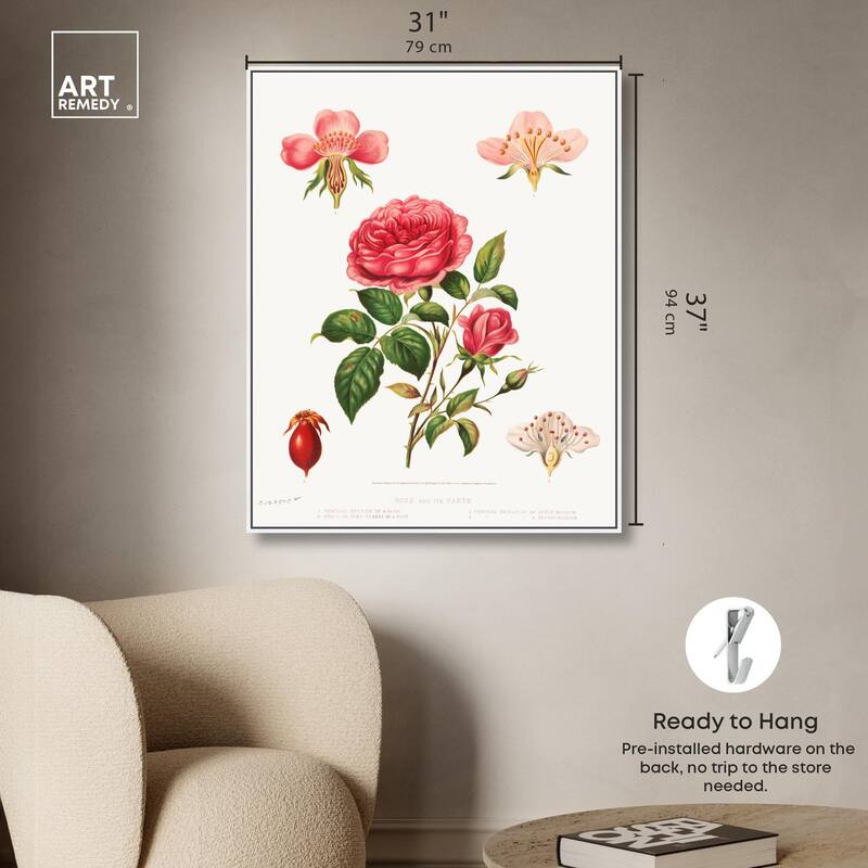 Rose and its parts (1872) Canvas by Art Remedy