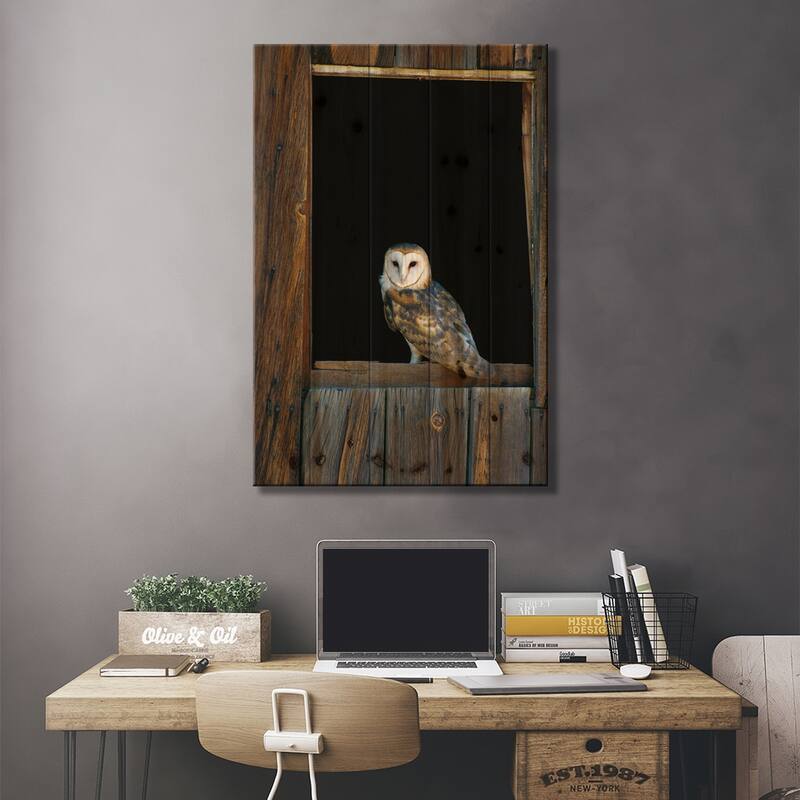Barn Owl Perching On Barn Window, North America Print On Wood by Konrad Wothe - Multi-Color