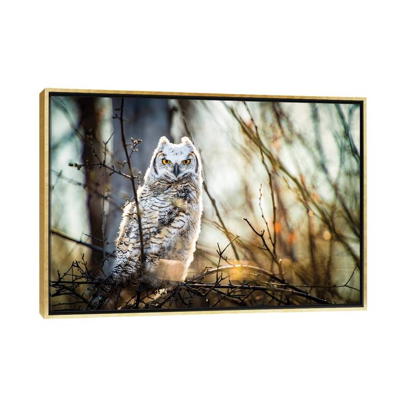 iCanvas "Owl At The Woods" by Nik Rave Framed Canvas Print - Gold - 26x40