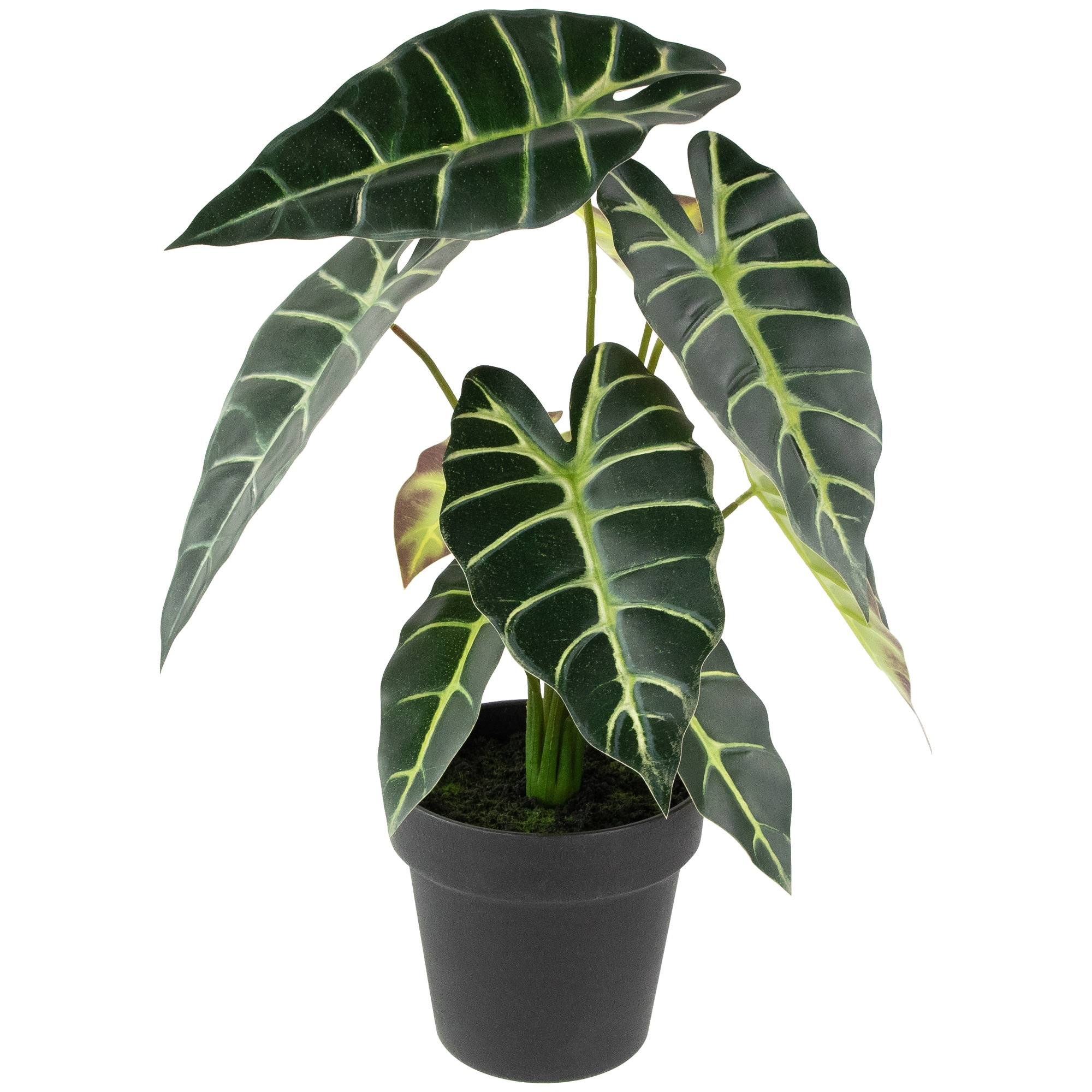 real touch™ artificial taro plant in black pot 18"