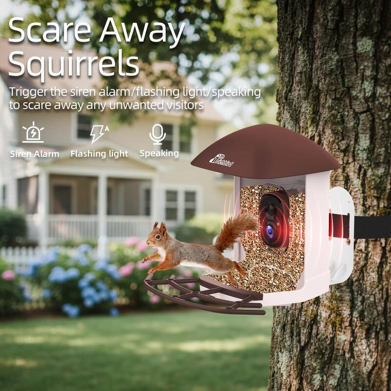 Smart Solar Bird Feeder with Camera and Interactive App