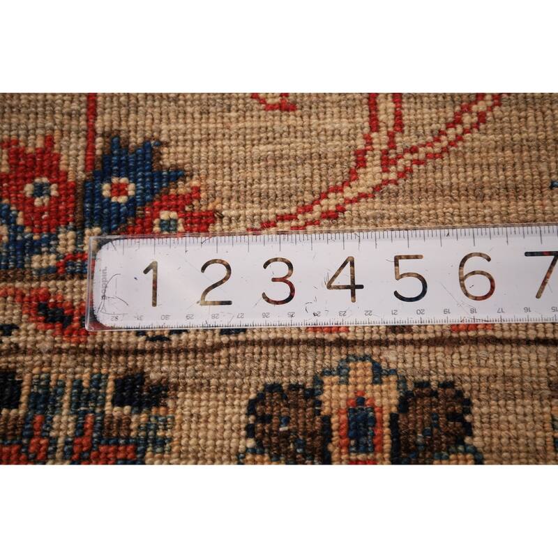 Vegetable Dye Ziegler Oriental Runner Rug Hand-Knotted Wool Carpet - 2'9" x 9'9"