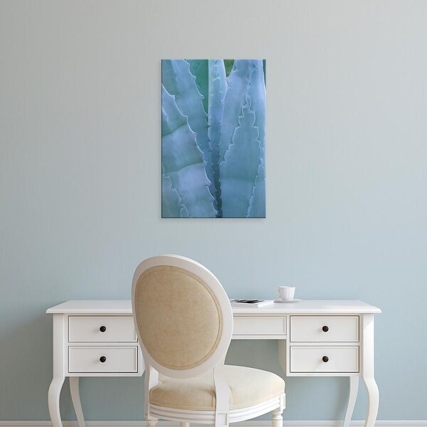 Easy Art Prints John & Lisa Merrill's 'Leaves Of Agave Plant' Premium Canvas Art