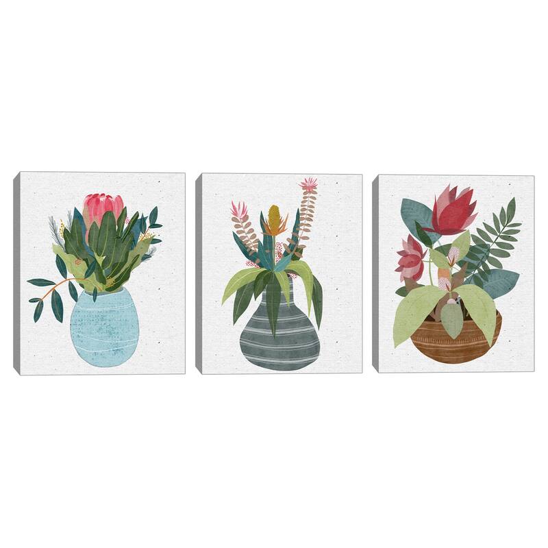 Potted Petals I,Potted Petals II,Potted Petals III by Belle Maison Canvas Art Prints