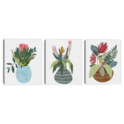Potted Petals I,Potted Petals II,Potted Petals III by Belle Maison Canvas Art Prints
