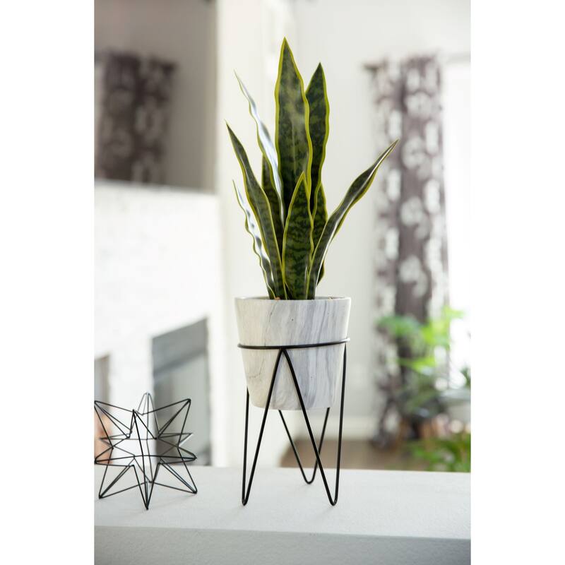 1.75FT Snake Plant in Marble on Metal Stand - ONE-SIZE