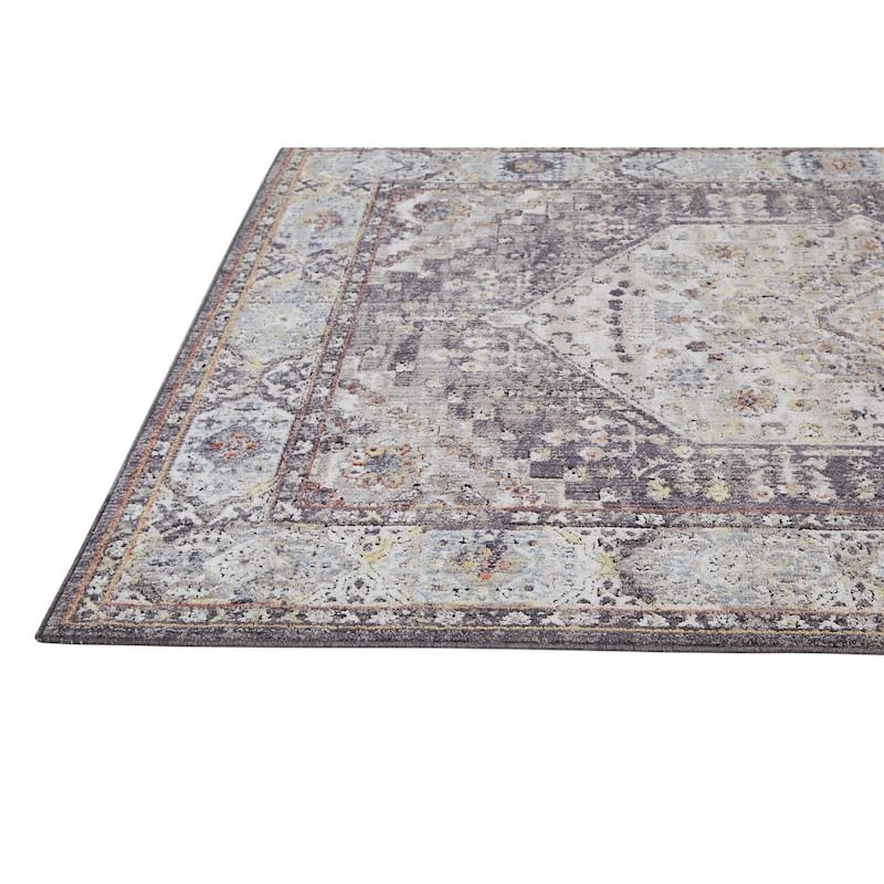 Matana Space Dyed Medallion Area Rug, Light Gray/Plum/Rust