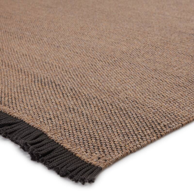 Taine Indoor/ Outdoor Solid Area Rug