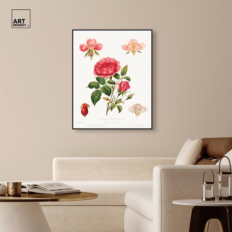 Rose and its parts (1872) Canvas by Art Remedy