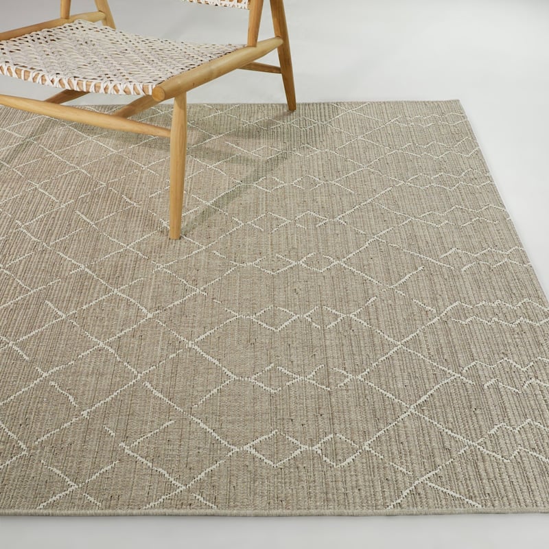 Marion Diamond Trellis Indoor/Outdoor Area Rug