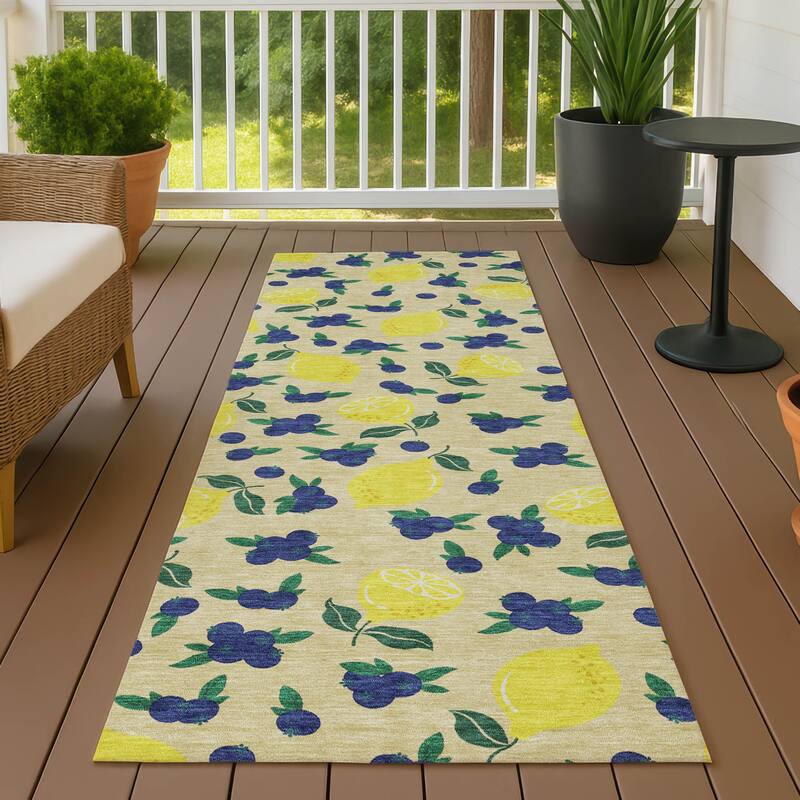 Machine Washable Indoor/ Outdoor Citrus Berry Chantille Rug - Wheat - 2'3" x 7'6"