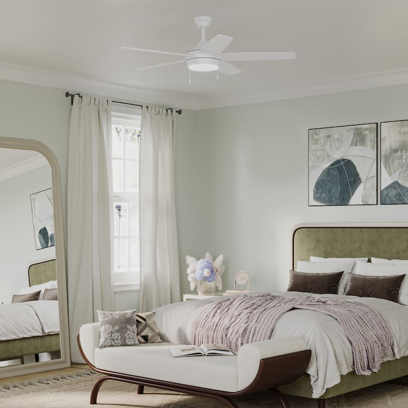 Nolyn Modern LED Ceiling Fan with Blades