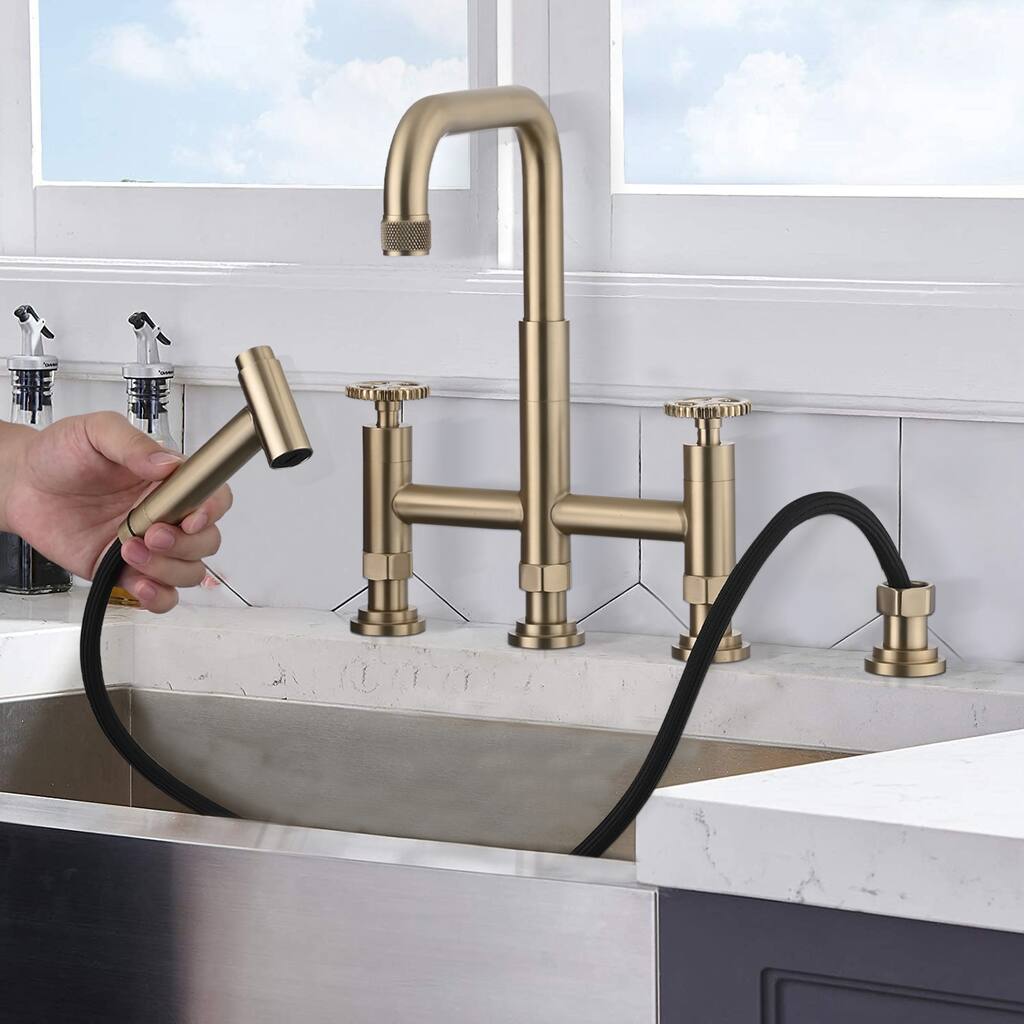 Dornberg 2 Handles Bridge Kitchen Faucet with Side Sprayer
