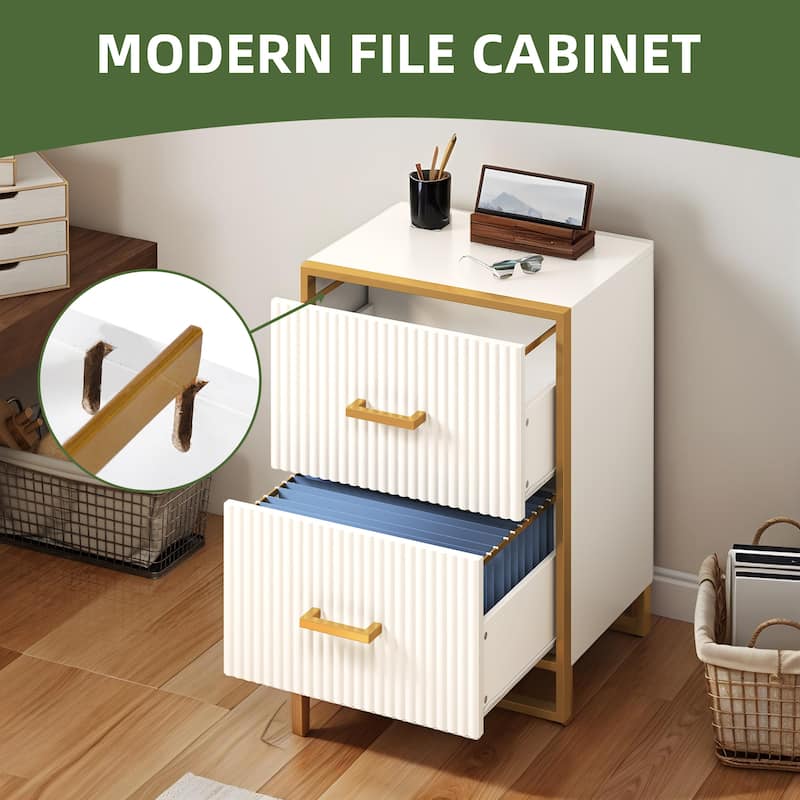 Moasis 2 Drawer File Cabinet with Gold Metal Handle
